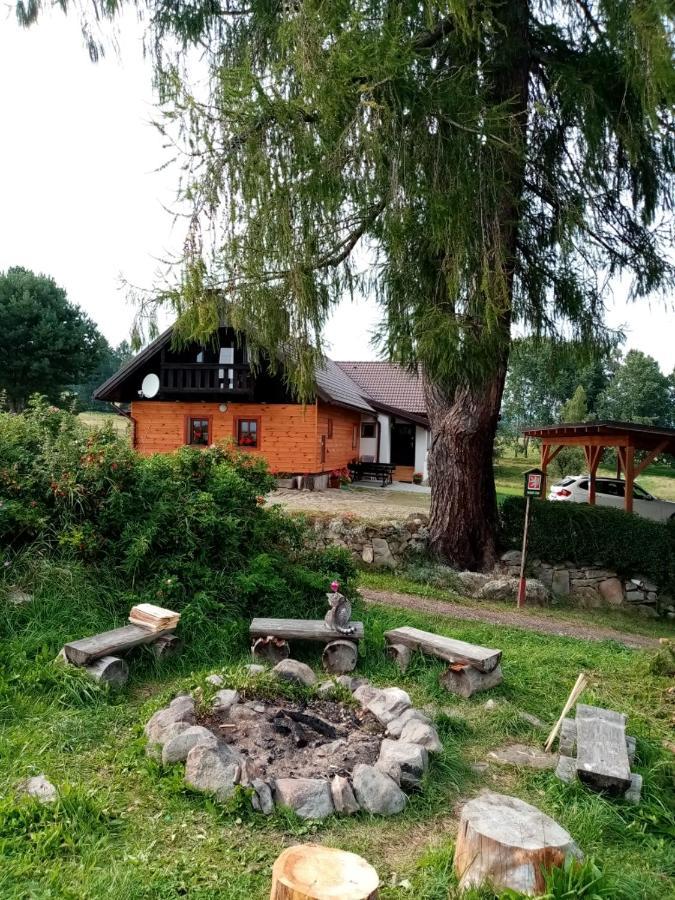 Chalupa Olsina 31 - Ferienhaus Horní Planá Eksteriør billede